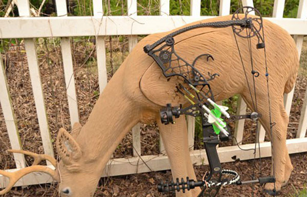 Оптимальный лук для 3Д и охоты!